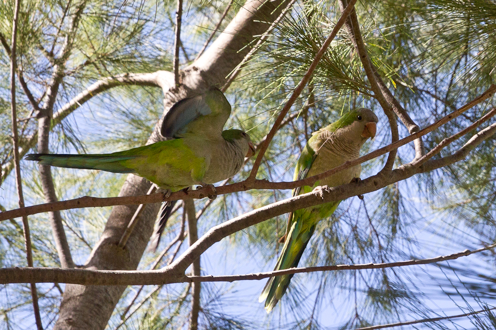 barcelona_parc_de_la_ciutadella_01