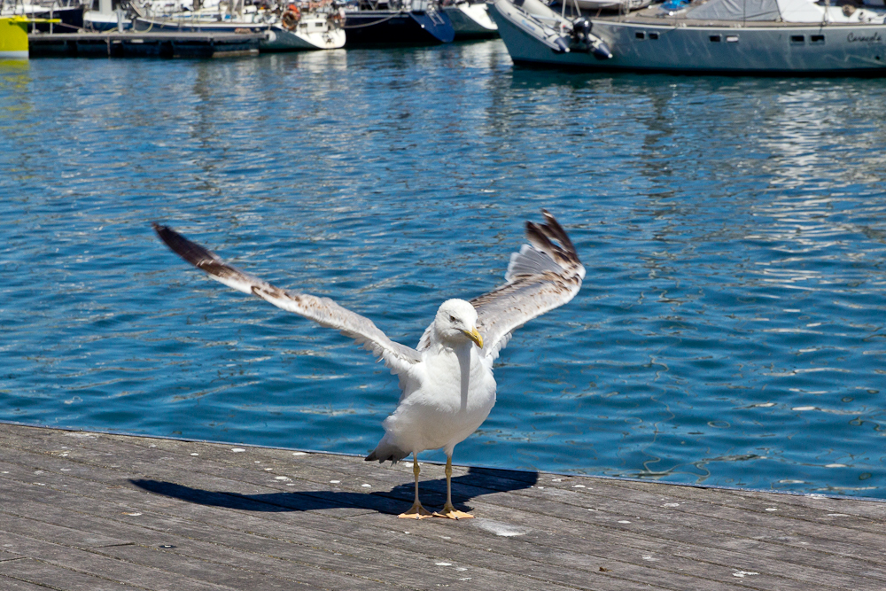 barcelona_strand_barceloneta_beach_01