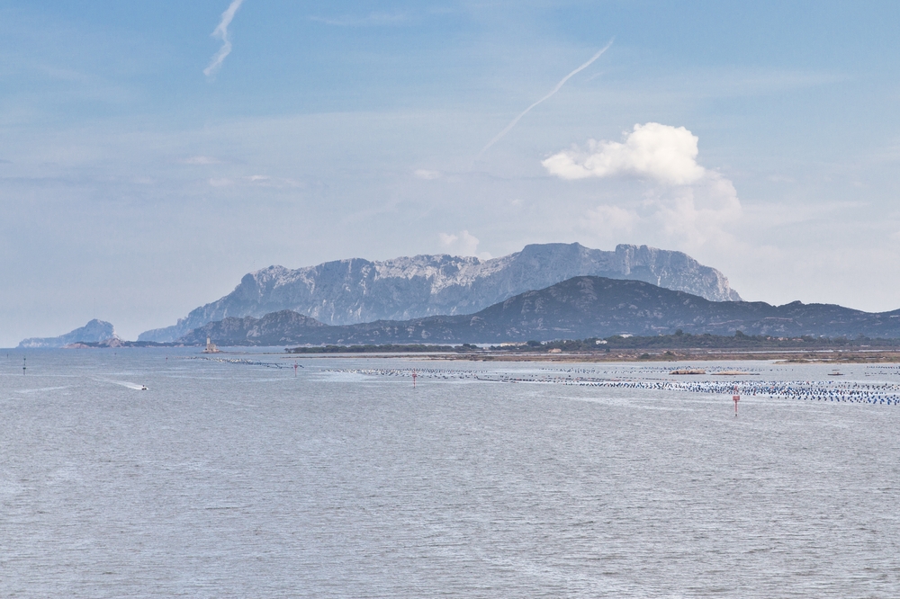 kreuzfahrt_ms_astor_italien_palermo_cagliari_olbia_genua_28