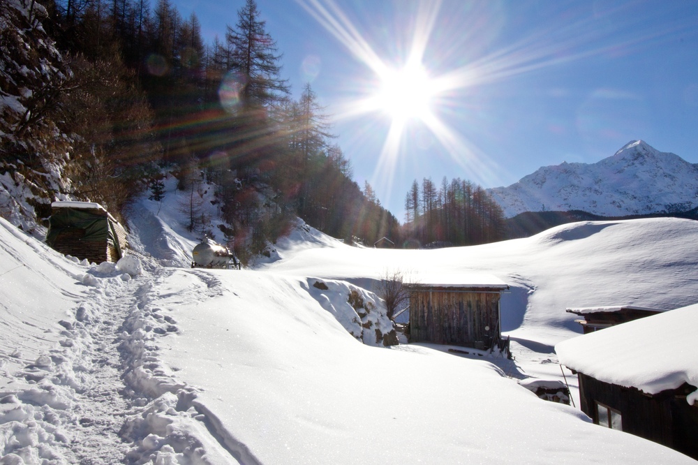 Sölden Stallwiesalm Rodeln