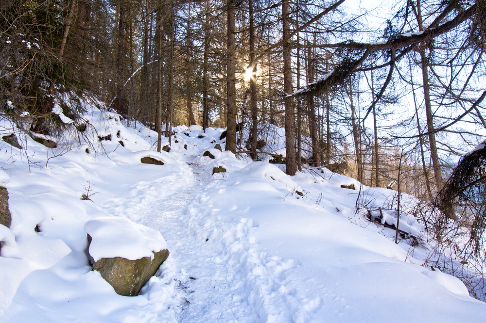 Sölden Stallwiesalm Rodeln